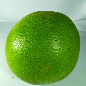 Jeruk Pamelo Honey OVEGI