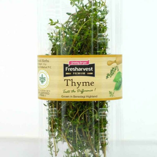 Thyme Herbs Ovegi
