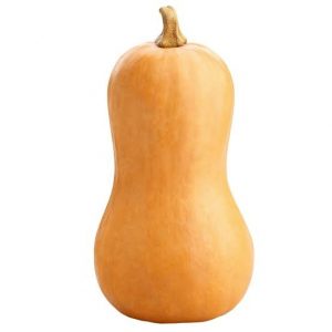Pumpkin Butternut Ovegi